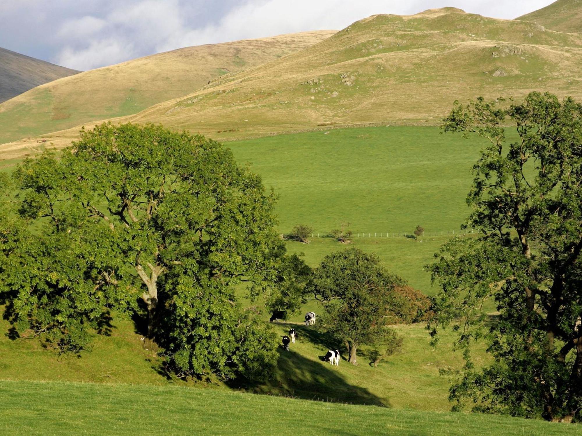 Gateside Farmhouse Sedbergh Εξωτερικό φωτογραφία